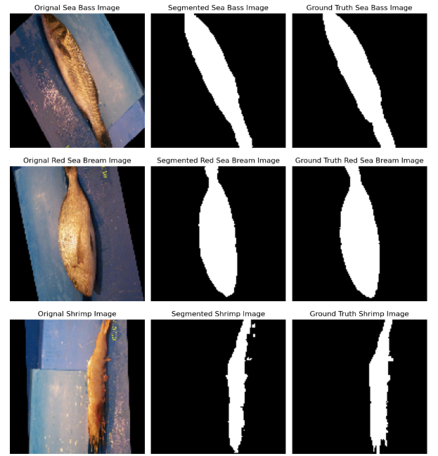 Image of three random fish on their side
            with a black background, with their segmented images next to them.